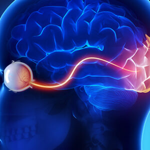 Advanced Neuro-Ophthalmology