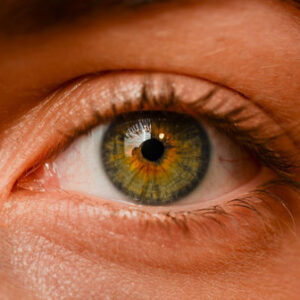 All About Pupils