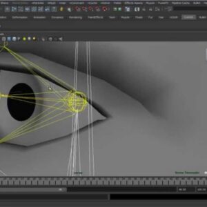 Anatomy Basics Simulation