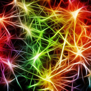Intro to Visual Acuity and Neuro-Ophthalmology